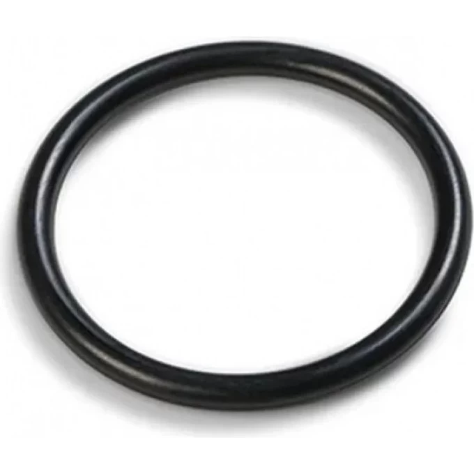 Уплотнительное кольцо INTEX 10262 Уплотнительное кольцо INTEX 10262